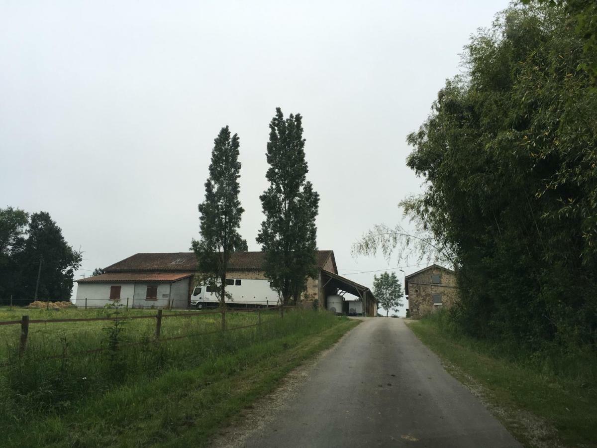 Ferme Gite Equestre En Charente Confolens Exteriör bild