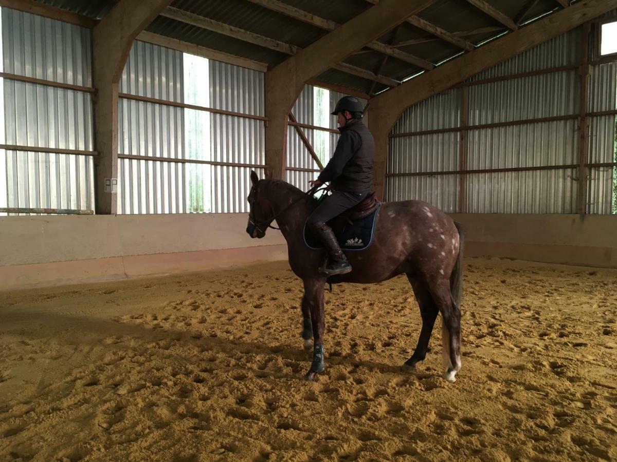 Ferme Gite Equestre En Charente Confolens Exteriör bild